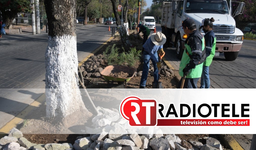 Realiza Ayuntamiento acciones preventivas y de mantenimiento en vialidades de Morelia