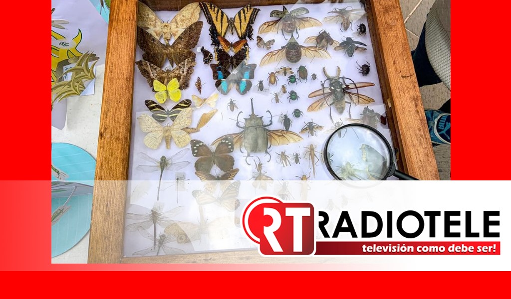Zoológico de Morelia y colectivo Insektueri Pampiriecha promueven educación sobre los insectos