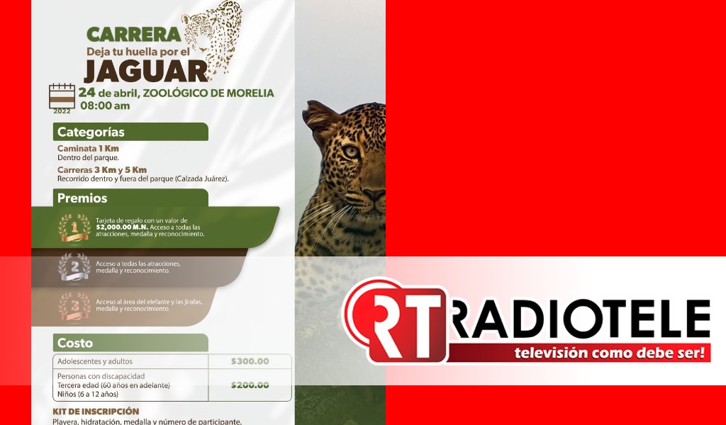 Lista, carrera Deja Tu Huella por el Jaguar en el Zoológico de Morelia