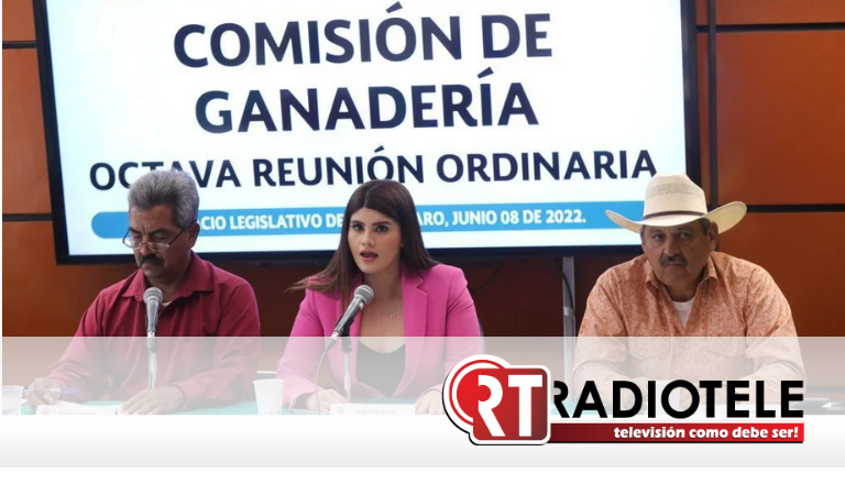 Aprueba Comisión Permanente exhorto de Cuquis Camarena para prevenir viruela del mono