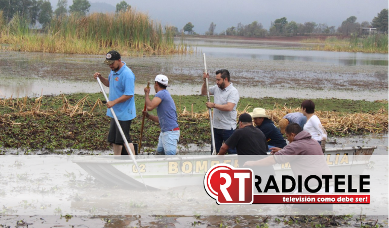 Gobierno Municipal realiza labores de limpieza en Laguna de San José de las Torres