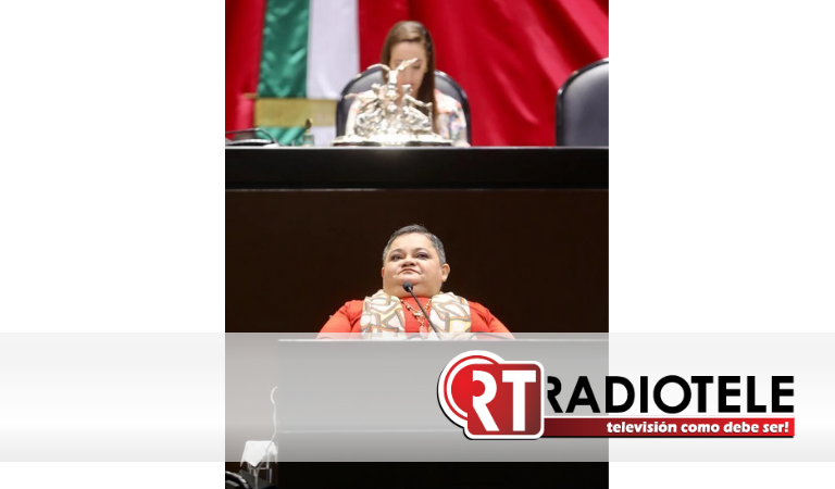 Propuesta  de la Diputada PRIISTA Norma Aceves que garantiza derechos de las mujeres con discapacidad, avalada en San Lázaro