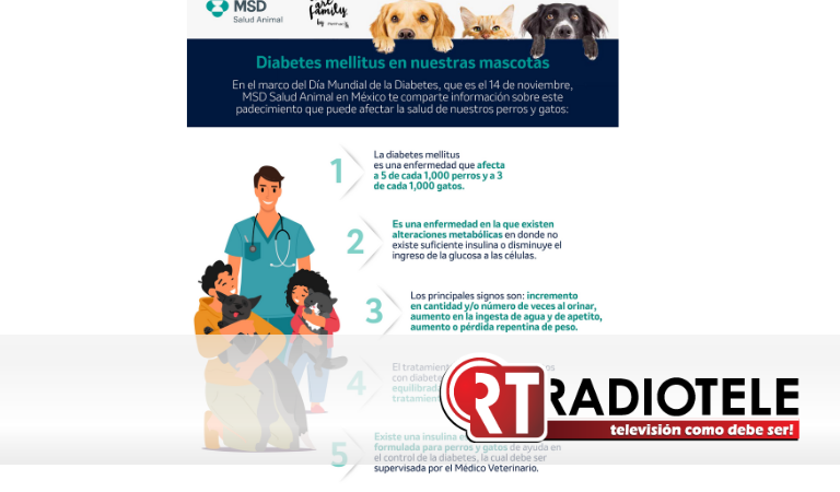 En el marco del Día Mundial de la Diabetes, 14 de noviembre                                                     -Diabetes mellitus, gran amenaza para la salud de nuestras mascotas