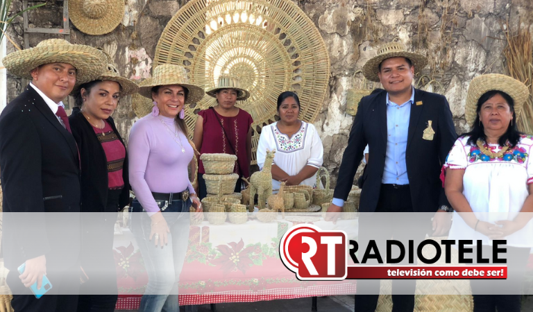 Promovamos el tule y pulque michoacano: Diputada Luz García