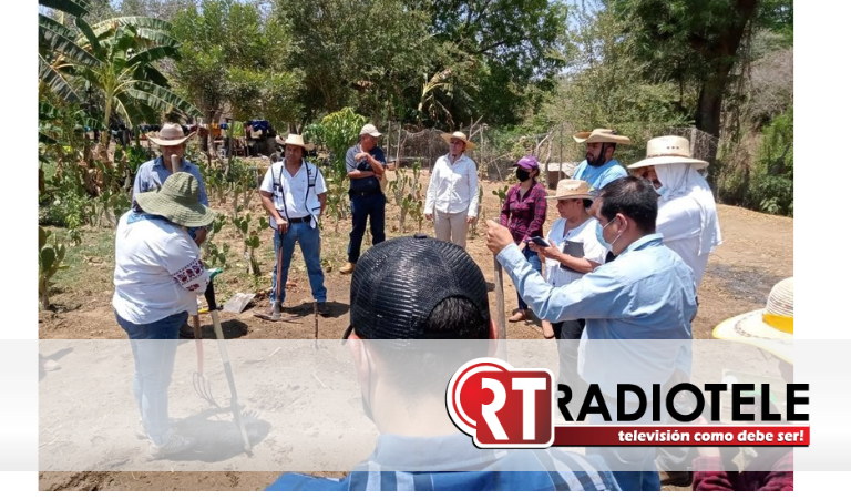 <strong>Respaldo al campo, una prioridad para el Gobierno de Michoacán</strong>