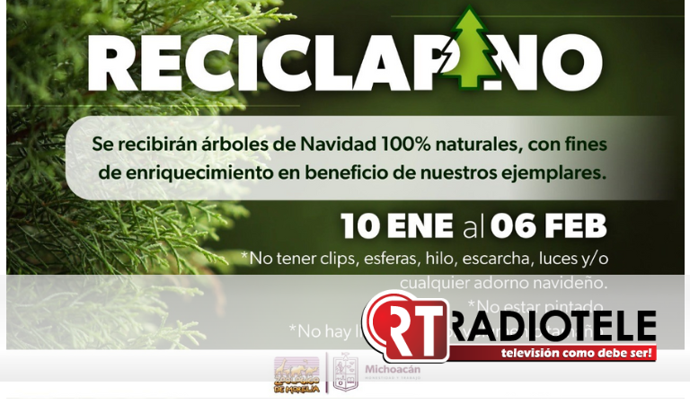 Zoológico de Morelia arranca campaña de reciclaje de árboles de navidad