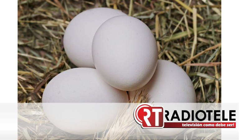 ¿Qué son los huevos libres de jaula? Conoce la tendencia de producción y consumo más justa del mercado
