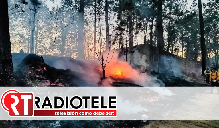 Brigadistas municipales controlan incendio en cerro de La Charanda