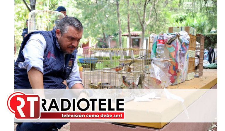 Recibe Zoológico 40 aves decomisadas tras operativo en mercados de Morelia