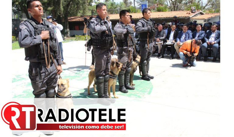 Se integran 4 binomios caninos a la Comisión de Búsqueda de Personas del Estado de Michoacán