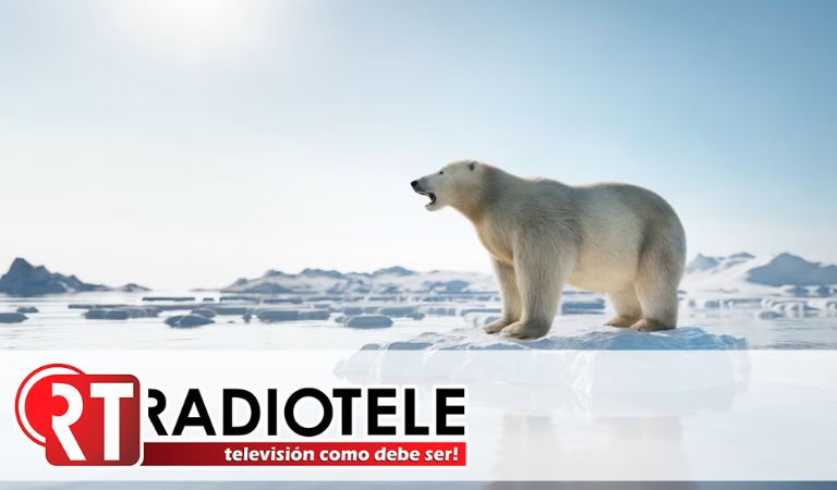 Crisis climática provocará eventos extremos en la Antártida, advierte estudio