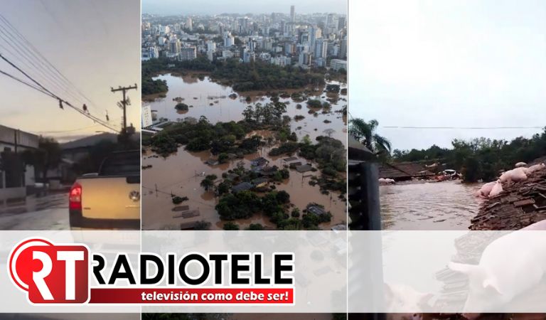 Animales sufren el paso de un ciclón por el sur de Brasil