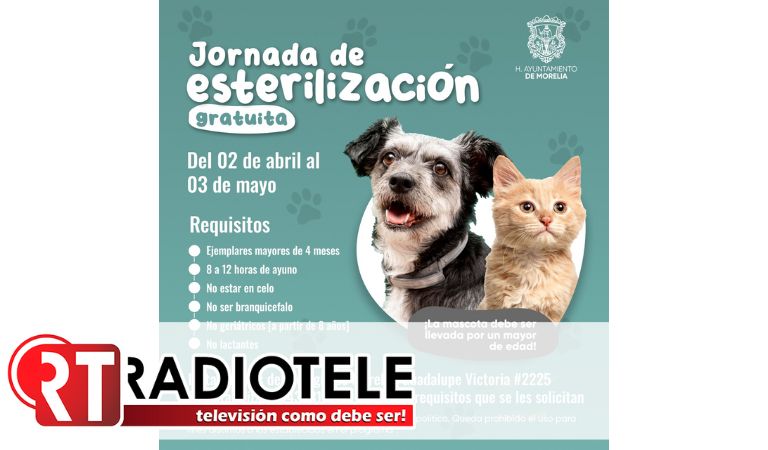 Gobierno de Morelia invita a Jornada de esterilización para mascotas