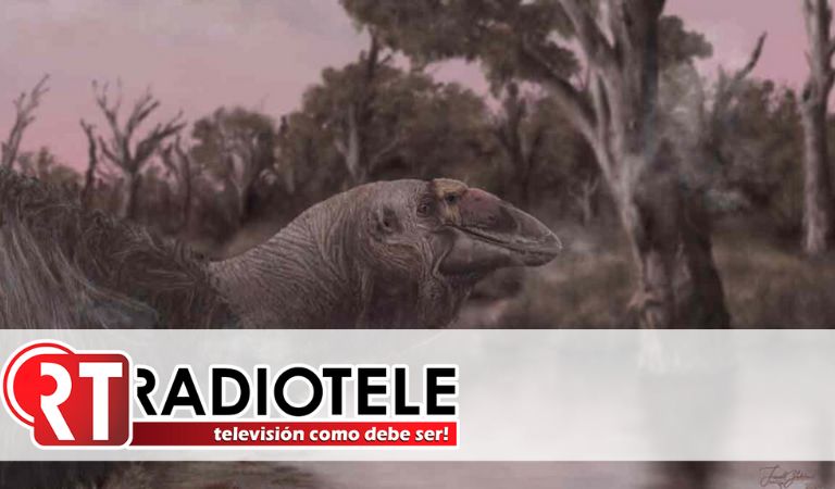 Descubren un “ganso gigante” que vivió en Australia hace 45 mil años