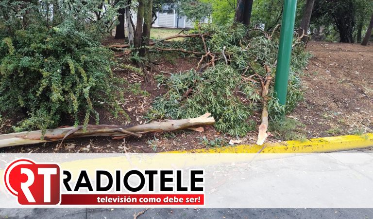 Gobierno Municipal, alerta por lluvias en Morelia; reporta afectaciones menores