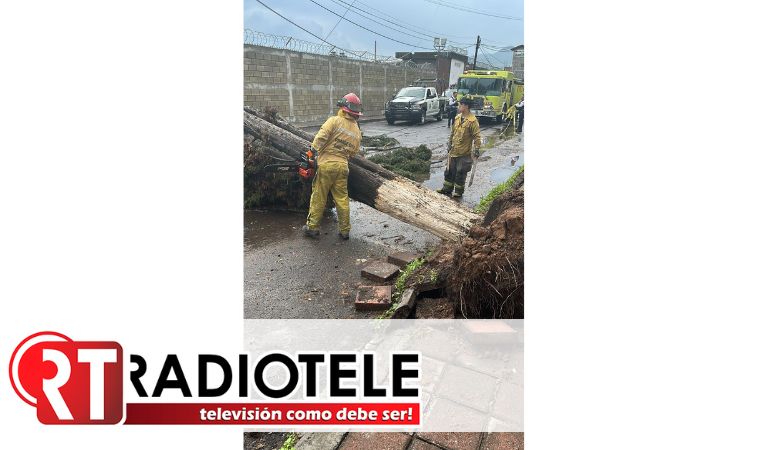 Brigadas intermunicipales atienden incidencias por lluvias de este miércoles