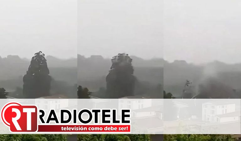 Cae rayo y hace explotar árbol en poblado de Francia