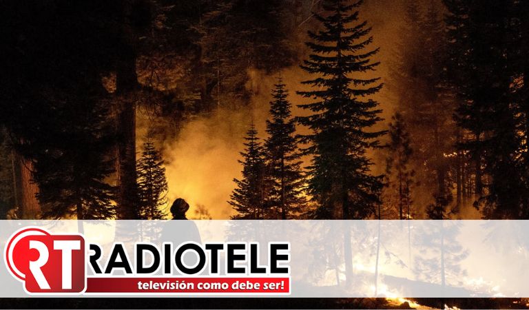 California en llamas, Incendio fuera de control destruye miles de hectáreas en Sierra Nevada