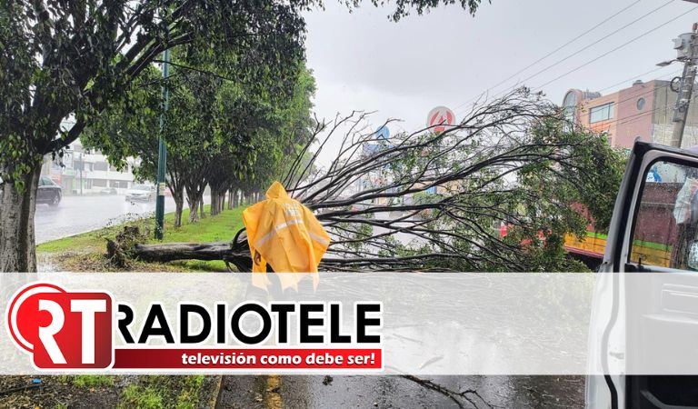 Retira ayuntamiento árbol que cayó sobre libramiento