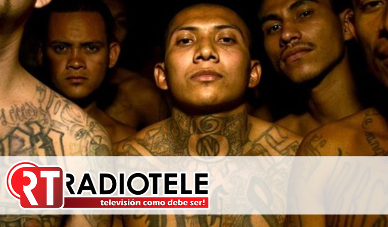 La pandilla Barrio 18, nacida en LA, es declarada organización terrorista extranjera por el gobierno de Trump
