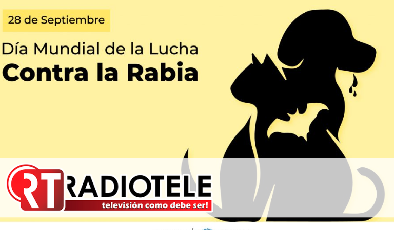 Día Mundial de la Rabia: la importancia de vacunar a las mascotas para proteger la salud pública