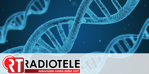 La clave de la inflamación arterial en mayores de 50: el CSIC la encuentra en el ADN