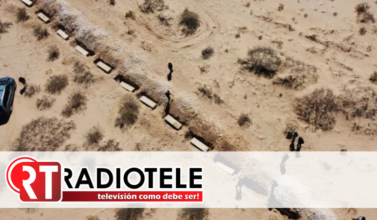 Cómo los cerdos y los insectos están ayudando a encontrar a los desaparecidos en México