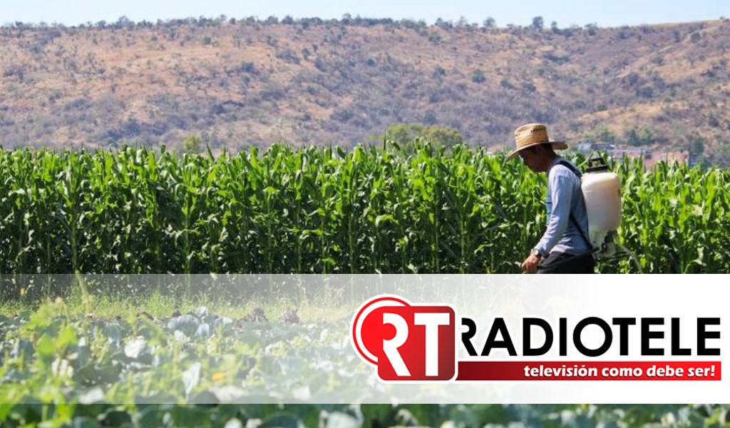 La federación promete apoyo económico al sector agrícola de Michoacán
