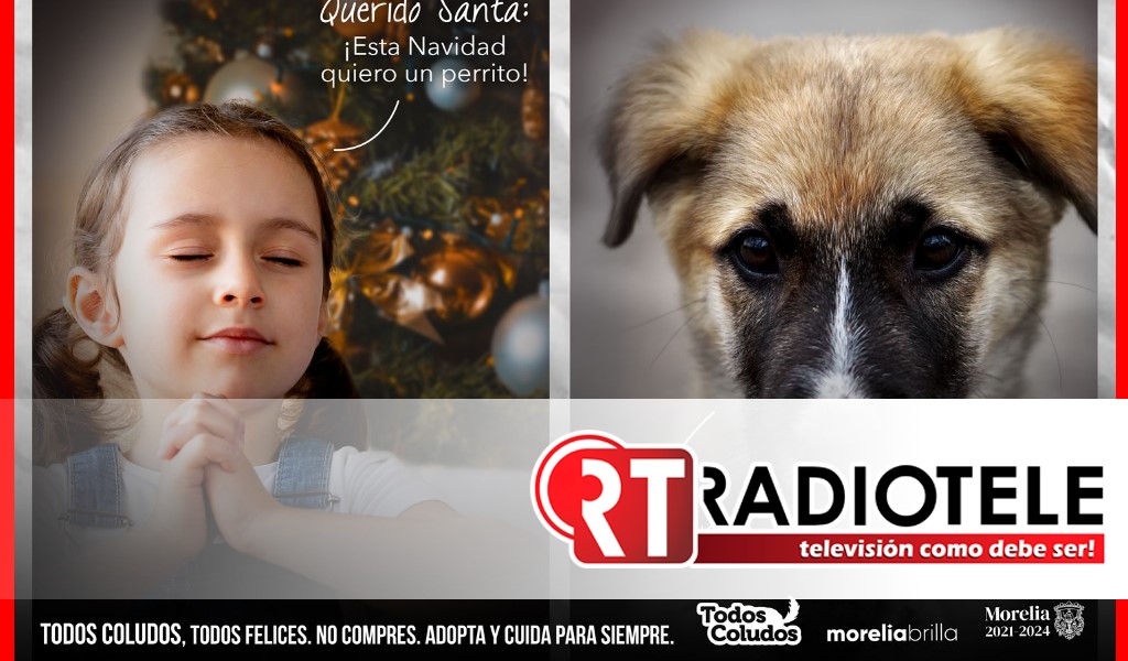 Presenta Alfonso Martínez campaña “Todos coludos, todos felices” a favor del bienestar animal