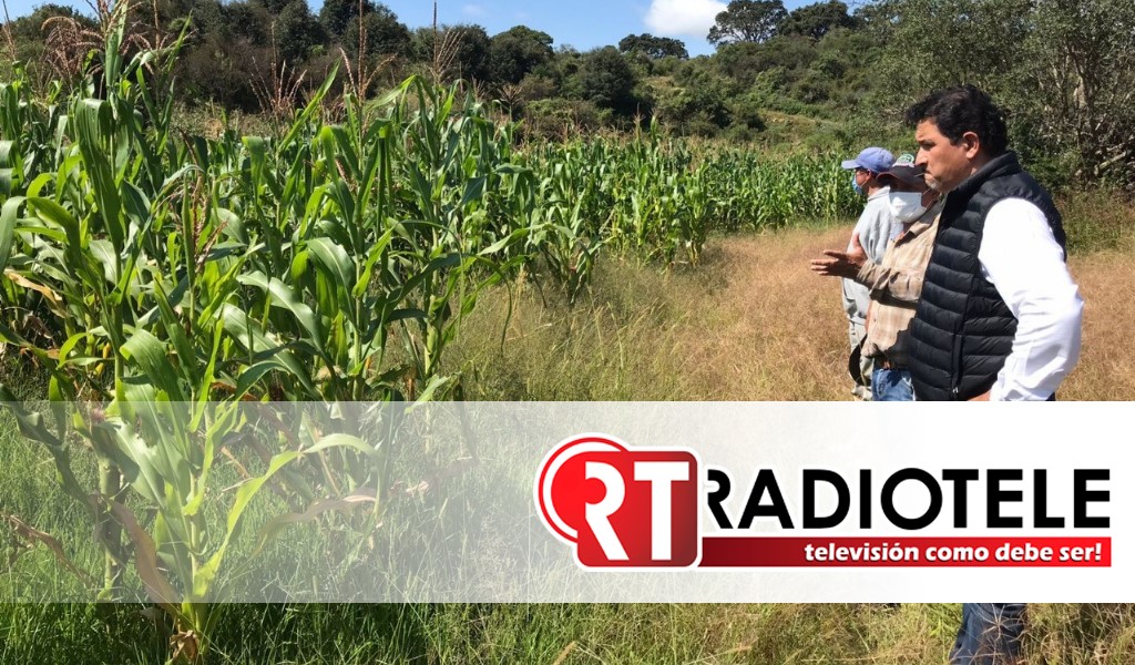 Inicia programa para campos libres de plagas en zonas rurales de Morelia