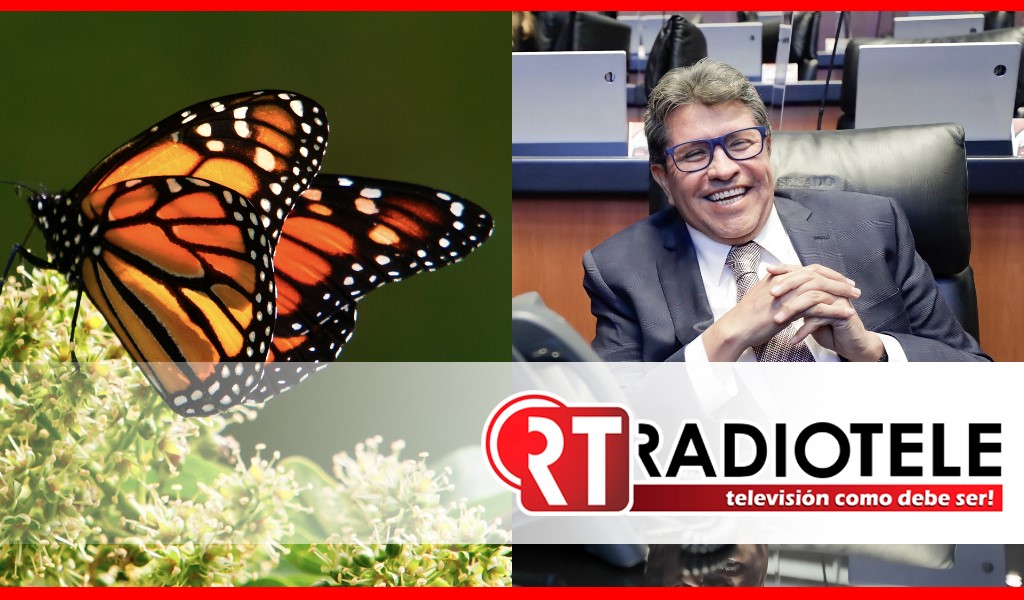 Impulsa Ricardo Monreal proyecto de la sociedad civil para preservar hábitat de la Mariposa Monarca