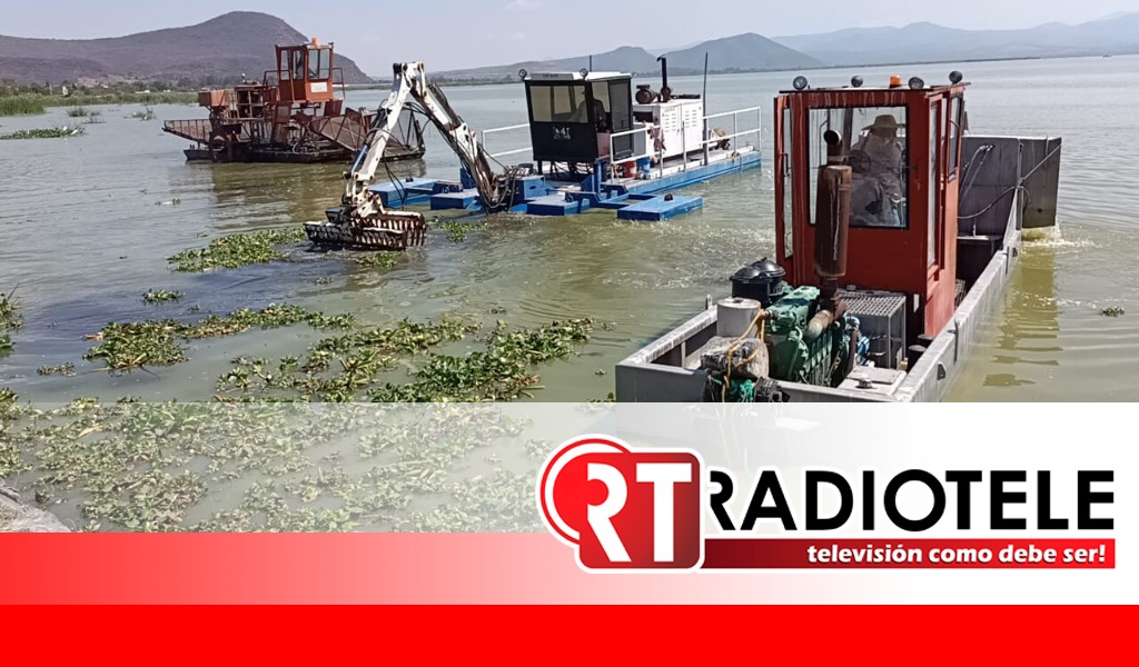 Inicia Compesca extracción de vegetación acuática en lago de Cuitzeo
