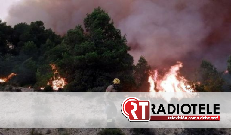 Imágenes impactantes: incendios en España y Alemania no cesan