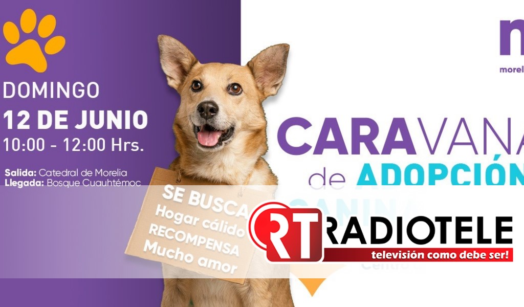 Invita Ayuntamiento de Morelia a Caravana de Adopción Canina