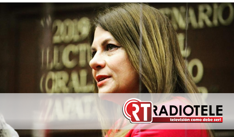 Legislar para prevenir la violencia: Diputada Luz María García