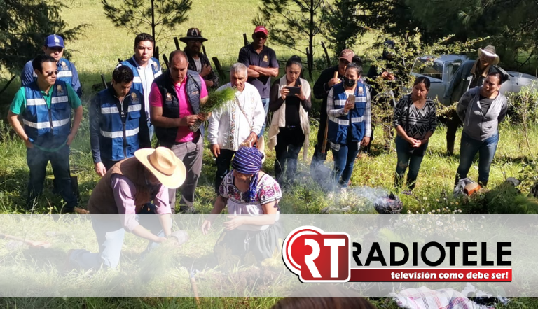 Realiza CEDH Michoacán campaña de reforestación