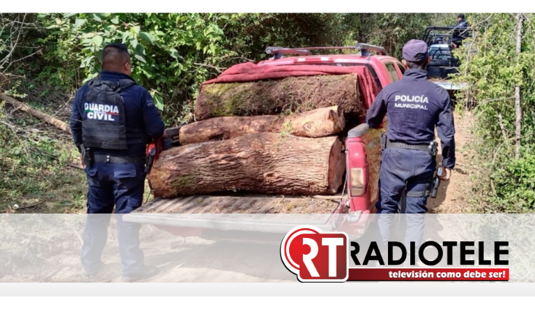 <strong>Tras denuncia ciudadana, SSP asegura vehículo cargado con madera, aparentemente ilegal  </strong>