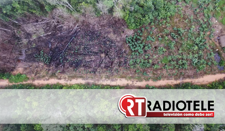 Las impactantes imágenes grabadas con drones que revelan la deforestación del Amazonas