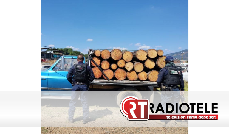 En Uruapan, SSP asegura camioneta con 48 rollos de madera, presuntamente ilegal