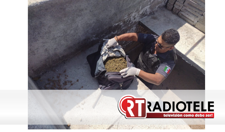 <strong>Guardia Civil localiza varios kilos de marihuana en panteón de Nocupétaro</strong>
