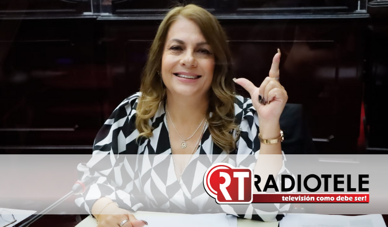 Regularización de los centros de rehabilitación va por buen camino: Dip. Luz García