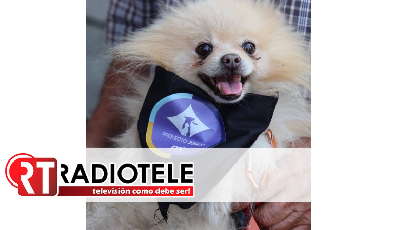 Invita Gobierno Municipal a inscribir a perros y gatos en el primer Registro Público de Morelia