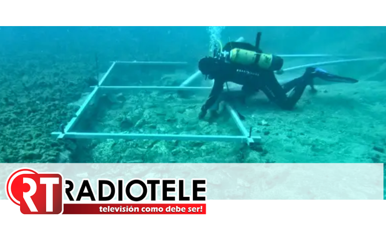Carretera submarina: encuentran camino de 7 mil años de antigüedad bajo el mar