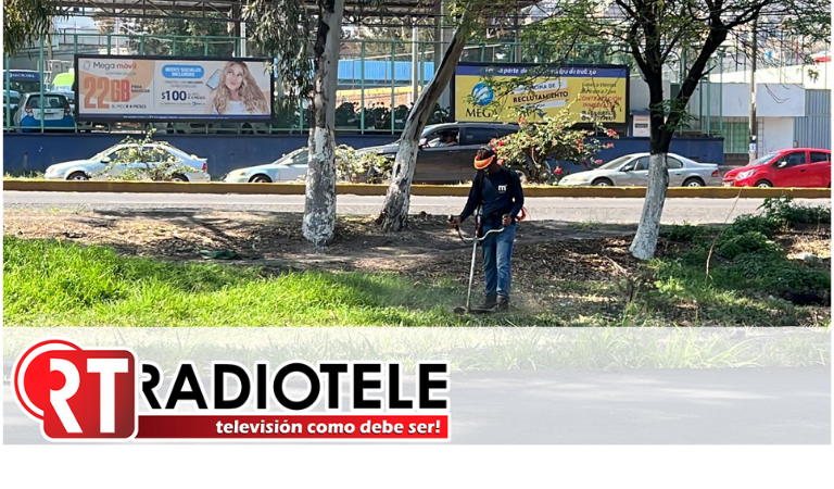 Trabaja Gobierno Municipal en limpieza de camellón de Salida Charo