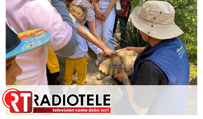 El verano se vive en el Zoo de Morelia con atractivos y experiencias educativas