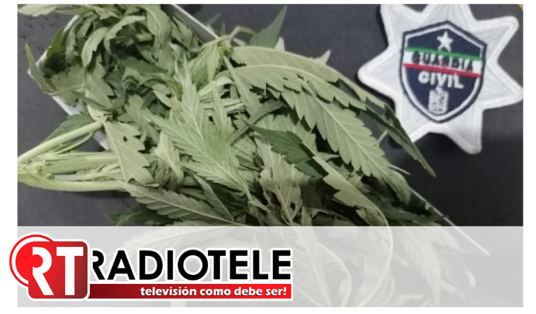Guardia Civil detiene a 10 personas con droga