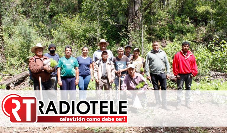 Realiza Ayuntamiento de Pátzcuaro reforestación en comunidades