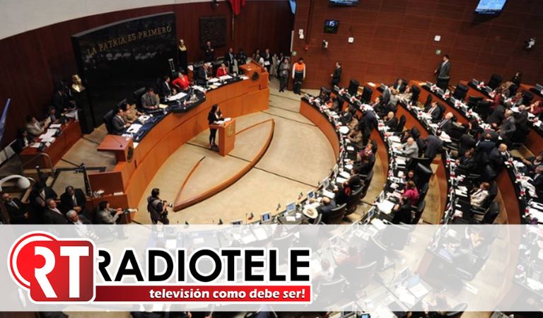 Senado Ratifica A Laura Elena Carrillo Cubillas Como Subsecretaria Para América Latina Y El Caribe