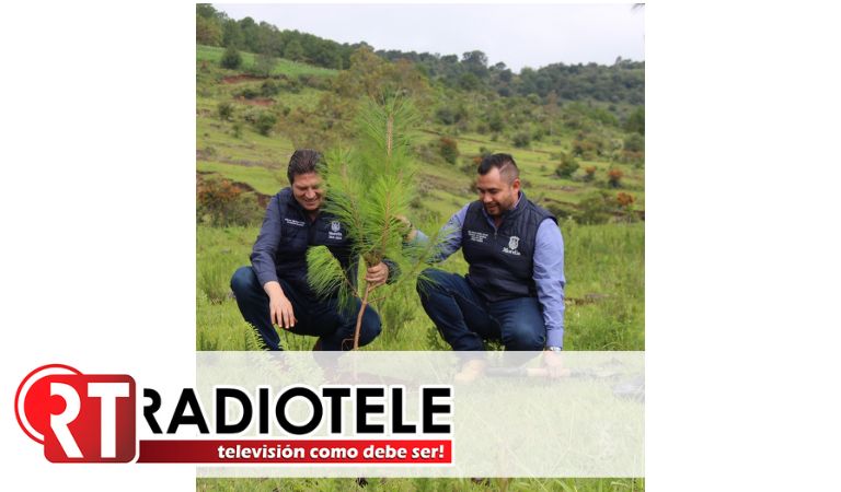 Gobierno Municipal rebasa meta de 700 mil árboles plantados en Morelia