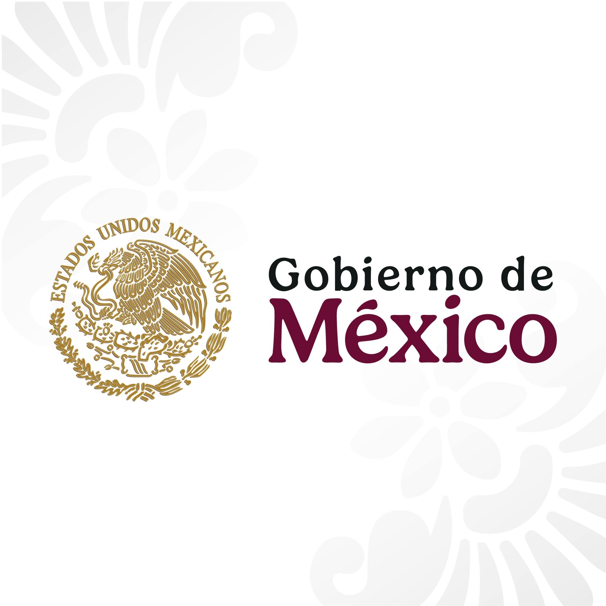 GOBIERNO DE MÉXICO MAÑANERA